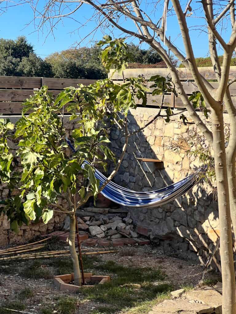 Backyard hammock at Casa Pardal surrounded by stone walls and fig trees, offering a peaceful spot to relax and imagine settling in.