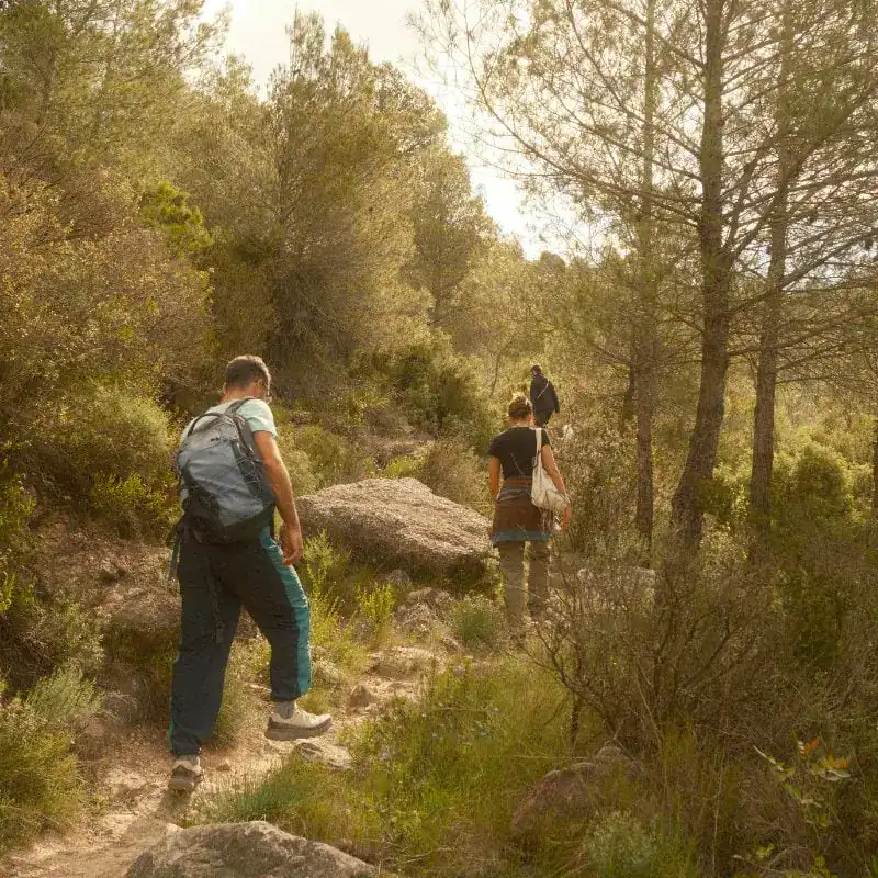 casa-pardal-best-coliving-spain-2