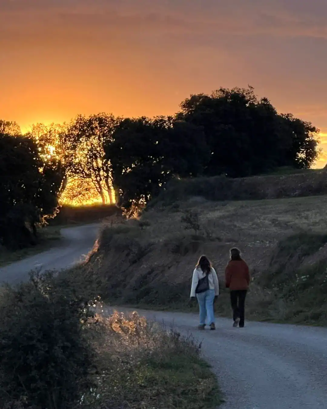 Go for a sunset walk though the peaceful countryside fields.