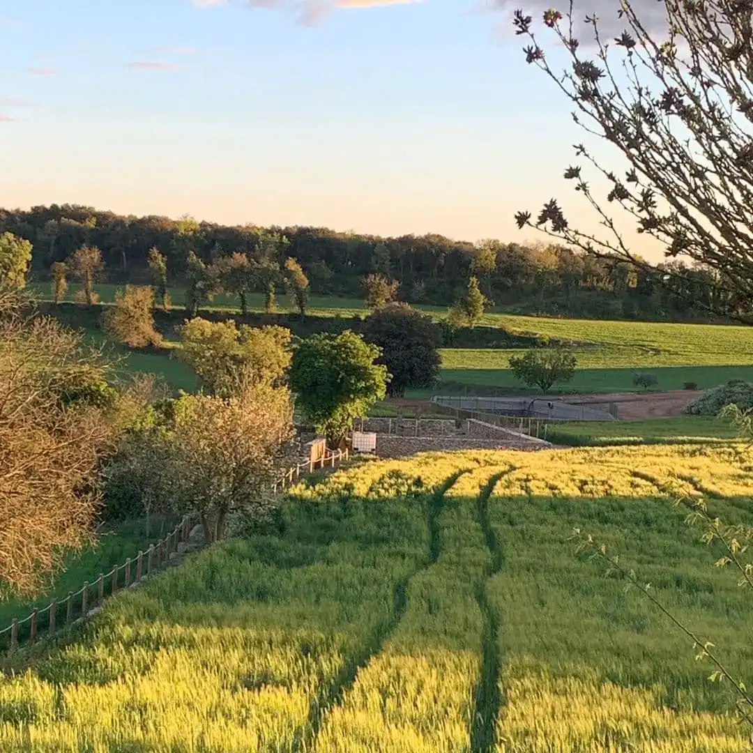 More fields!