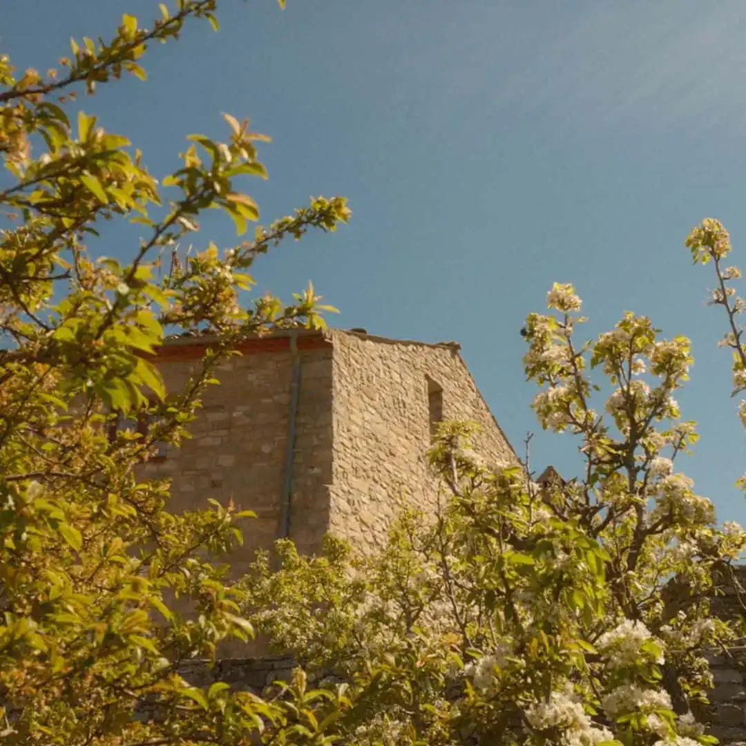 casa-pardal-the-house-exterior-4