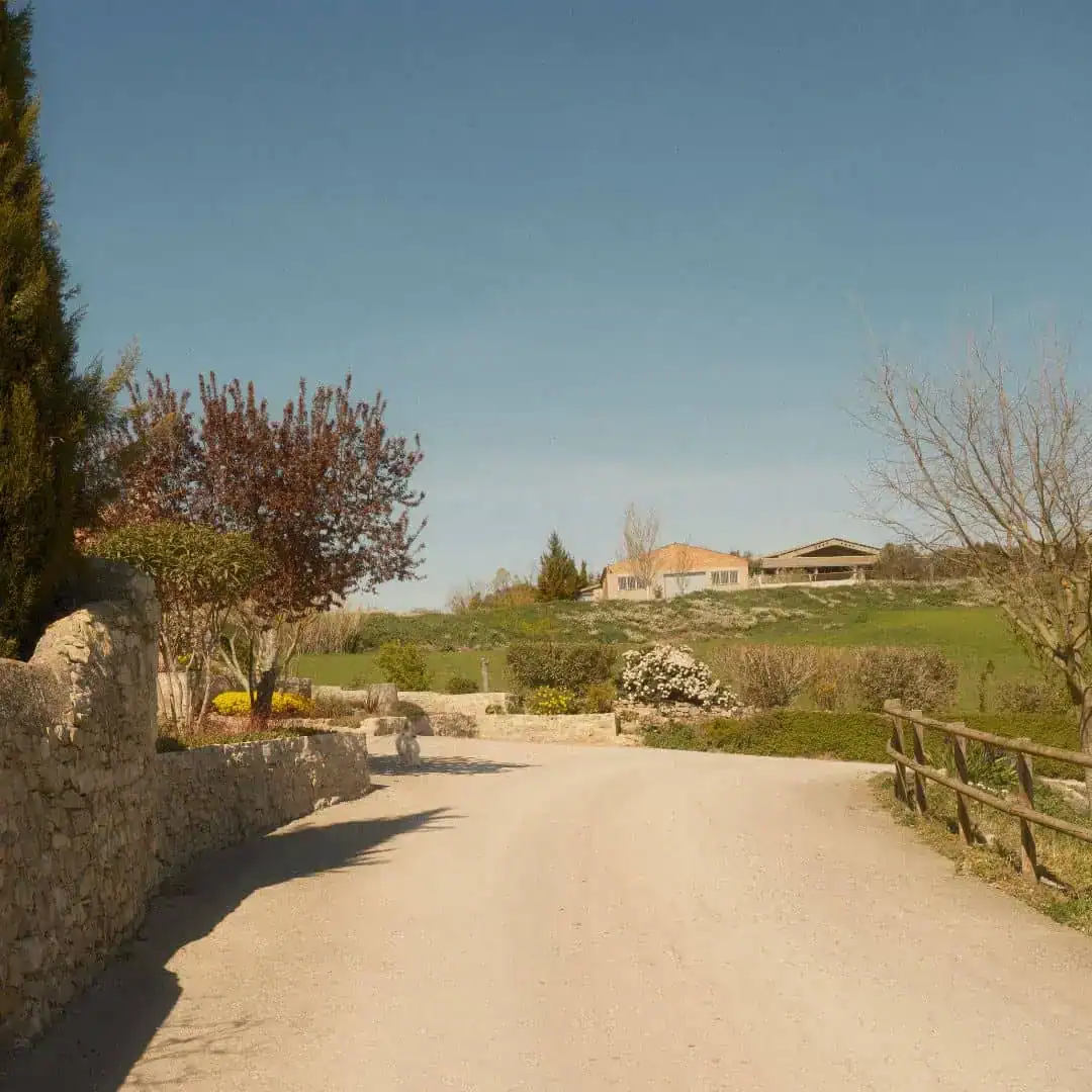 casa-pardal-the-house-exterior-8