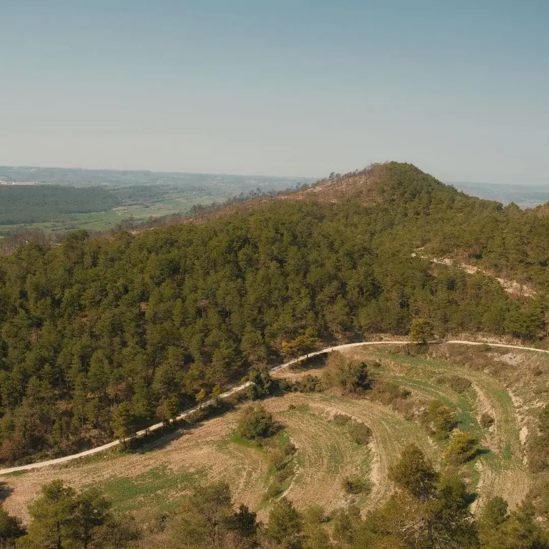 catalonia-coliving-2