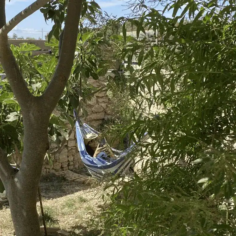 Laze in the hammock
