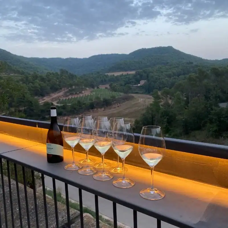Vist local wineries