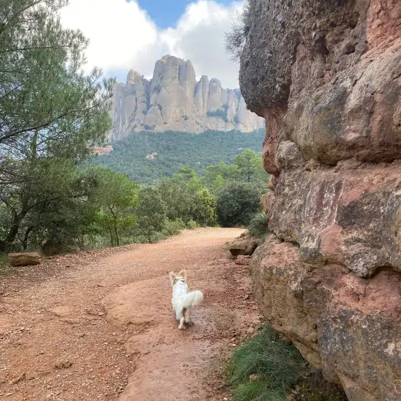Visit Montserrat