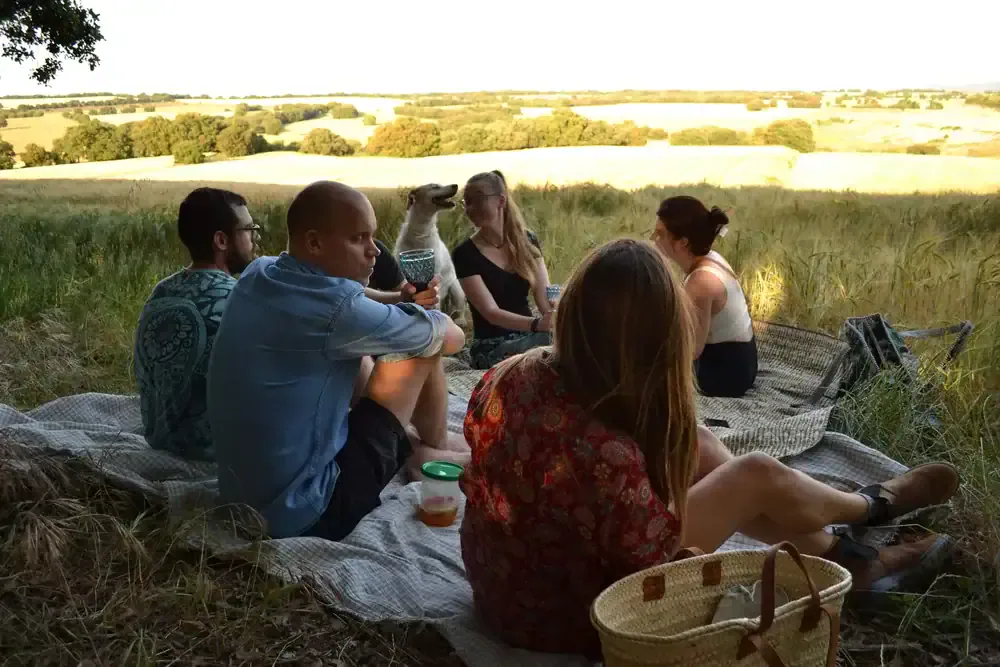 picnic