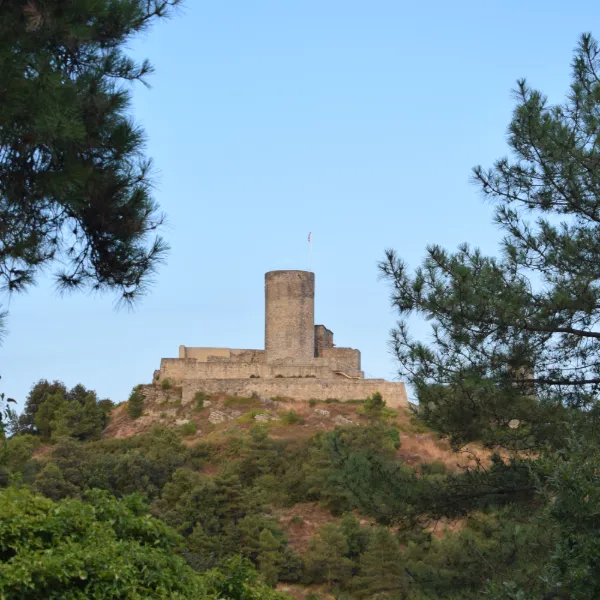Nearby castle hike