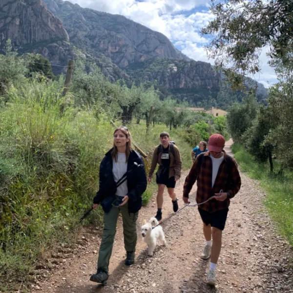 Pyrenees hikes